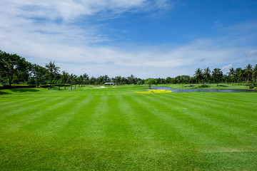 Land Scape Wide green lawns and a blue sky, golf courses.