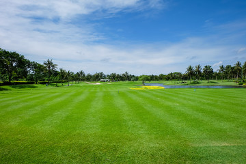 Obraz premium Land Scape Wide green lawns and a blue sky, golf courses.