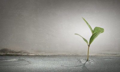 Grow your income . Mixed media