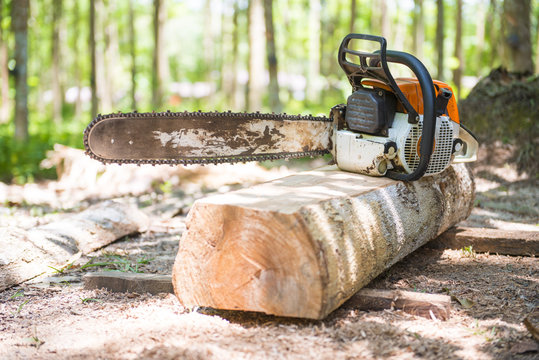 old chainsaw on the stump