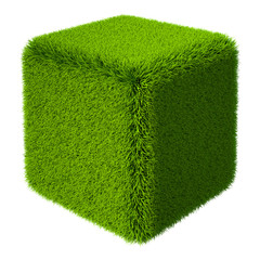 Grass Cube 3D