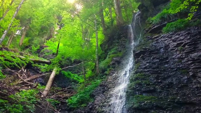 Waterfall in alpine forest over Partnach Gorge or Partnachklamm. Falls is a scenic location and nature attraction in Germany near Garmisch Paterkirchen. 