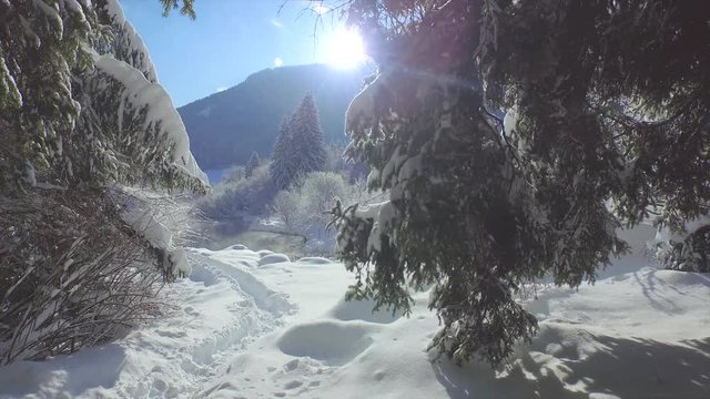 AERIAL: Beautiful nature landscape in winter