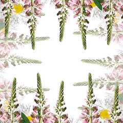 Delicate floral background isolated from lupine and daisies 