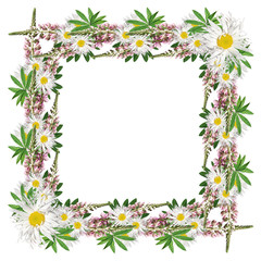 Delicate floral background isolated from lupine and daisies 