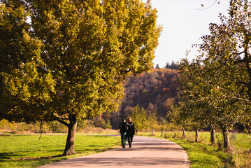 Lovers walking in autumn park