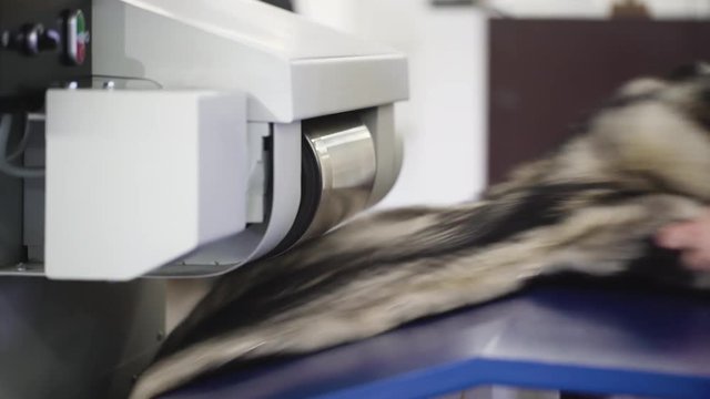 Machine cleaning of fur coat in a commercial dry-cleaning