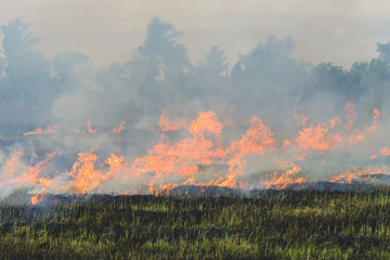 Burning straw stubble farmers when the harvest is complete. another cause of global warming