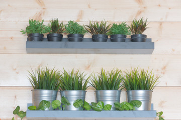 Potted plants on wooden wall