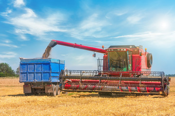 Combine harvester on a wheat field.