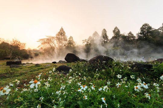 Wonderful morning of gold steam hot spring with sunlight at Jae Son National Park,Thailand