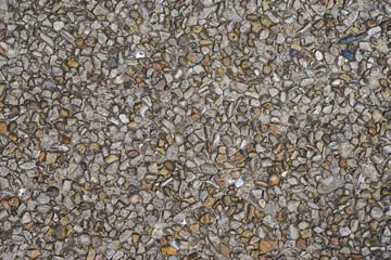 Small gravel background.