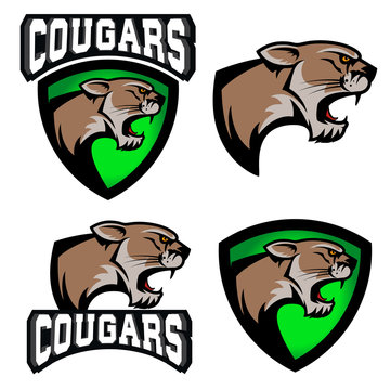 cougars.  sport team logo template.