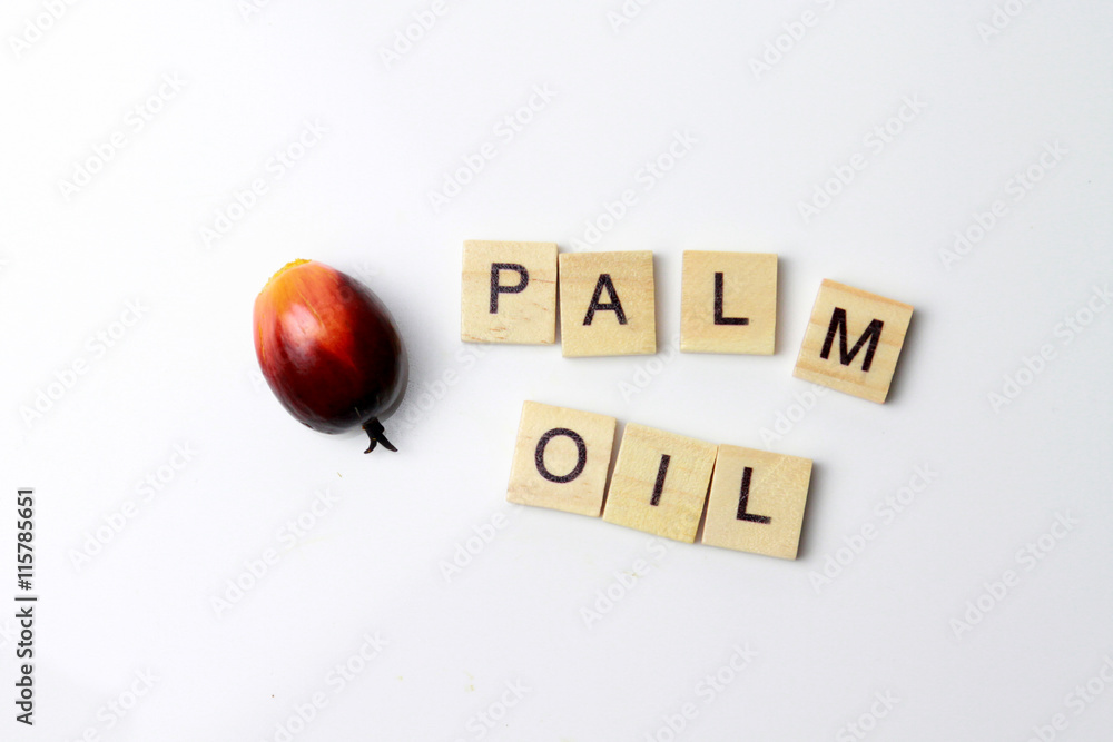 Wall mural palm oil with the kernel