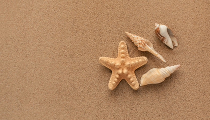 Fototapeta na wymiar Summer. Summer background. Summer accessories, Summer concept . Starfish with sand as background. Sand texture