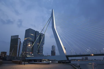 Foto op Plexiglas Erasmusbrug Erasmusbrug - Erasmus Bridge, Rotterdam