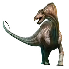 Obraz premium Amargasaurus