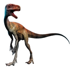 Fototapeta premium Juravenator.