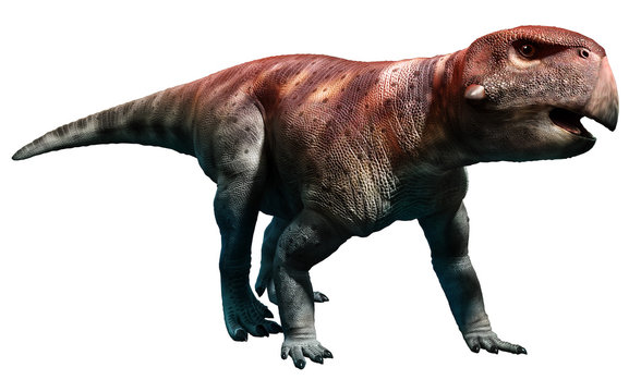 Psittacosaurus from the Cretaceous era 3D illustration