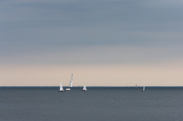 żaglówki na morzu    © Filip Olejowski