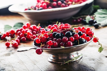 Red and black currants. red currant jam with fresh berry.