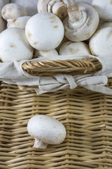 One champignon and many mushrooms in the wicker basket
