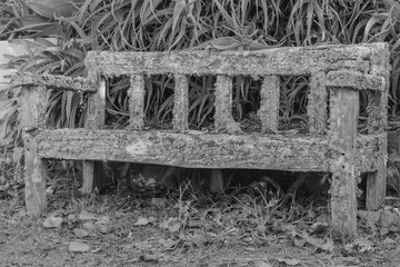 old wooden bench covered in lichen and moss