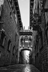 Bisbe street in the Gothic quarter, Barcelona