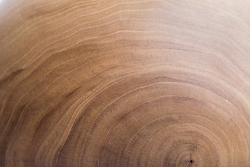 wood background. wood background. wood texture. wood texture. apricot