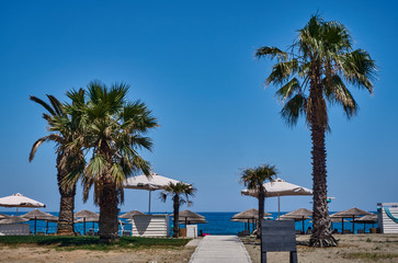 Obraz premium Palm trees on the beach on the coast of the Aegean Sea in Greece.
