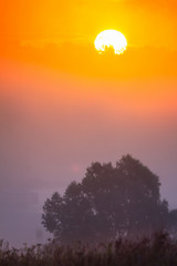 The misty Morning and Gradients