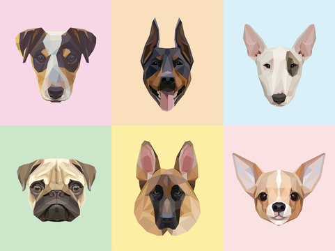 Dog breeds portraits vector illustrations in geometric style