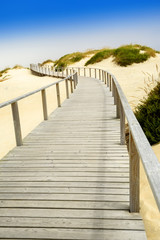 wooden walkboard on beach dunes