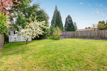 Fenced backyard with grass filled garden and small shed.