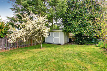 Fenced backyard with grass filled garden and small shed.