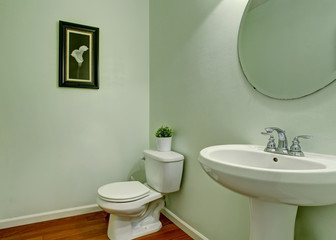 Simple bathroom interior with green walls, white sink and toilet