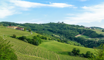 Fototapeta na wymiar Monferrato