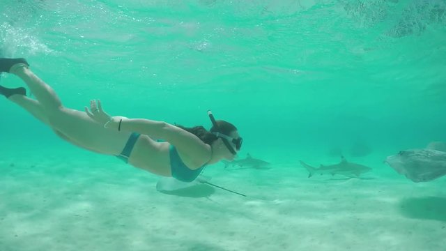 SLOW MOTION: Young woman snorkeling underwater with stingrays and sharks