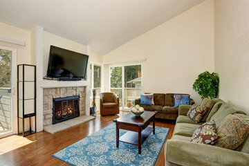 Living room with fireplace and blue rug.