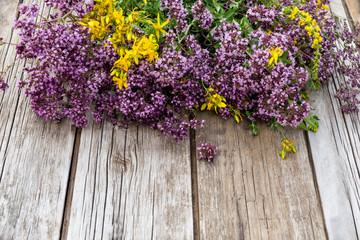 herb oregano and Hypericum on wooden background