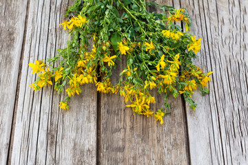 herb Hypericum on wooden background