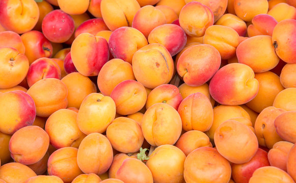 sweet apricots background