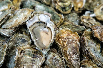 Foto op Plexiglas Oysters background with Open Oyster © GoodPics