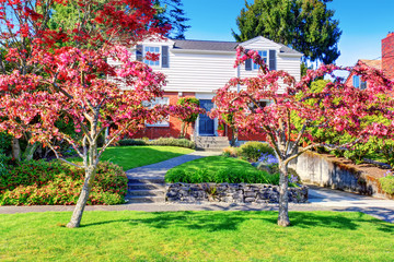 Beautiful curb appeal of brick house with well kept lawn and red trees in the front garden.
