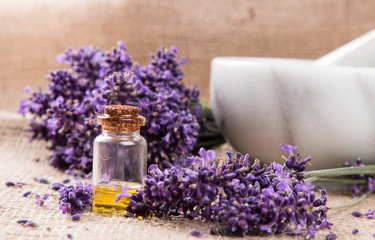 spa, lavender product, oil on nature background