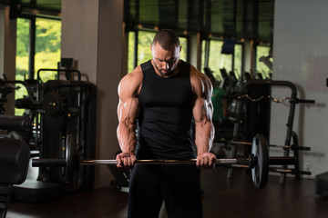 Fototapeta na wymiar Big Man Exercise Biceps With Barbell
