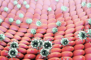 Viruses infecting human cells, 3D illustration