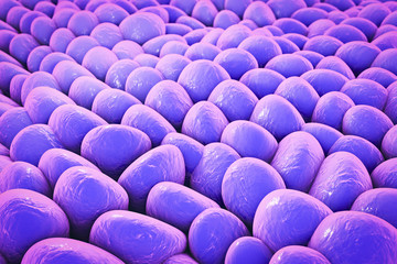 Fototapeta premium Layer of human cells, 3D illustration