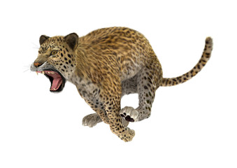 3D Rendering Big Cat Leopard