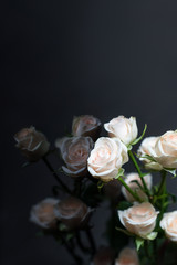 white roses with reflection